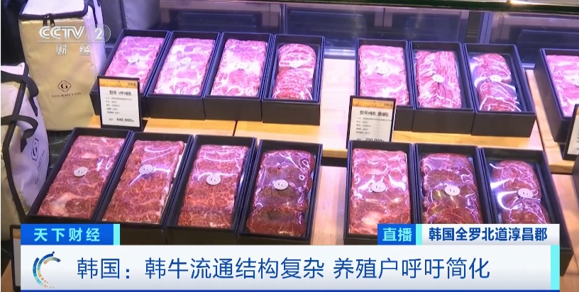 韩牛批发价“跌跌不休”!养一头损失超7000元!养殖户:越养越亏 韩牛批发价“跌跌不休”!养一头损失超7000元!养殖户:越养越亏