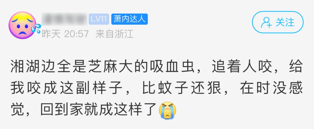 密密麻麻，奇痒无比！不少人“中招”后直呼：毫无防备，不敢了