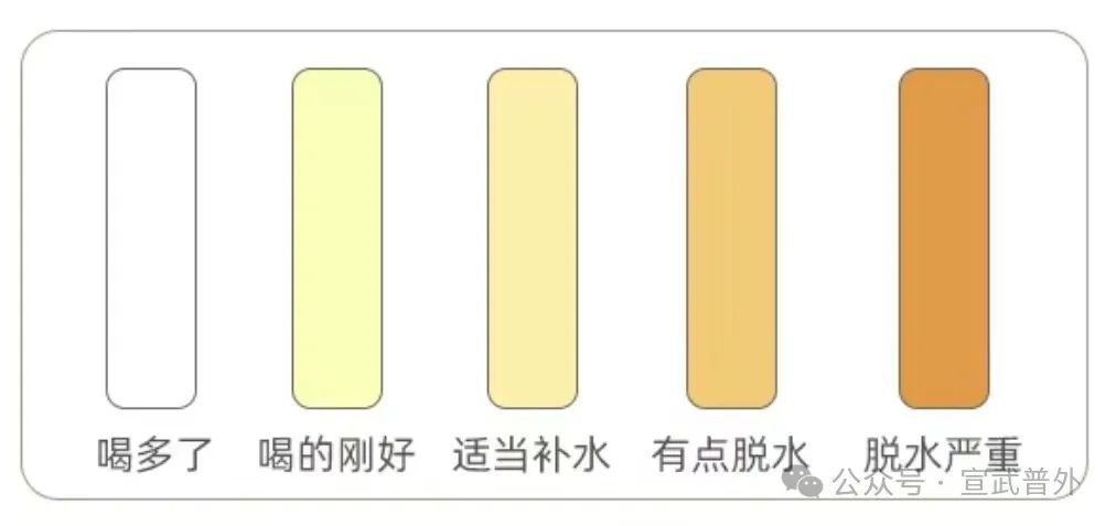 喝水是维持生命不可或缺的行为，但是你真的会喝水吗？