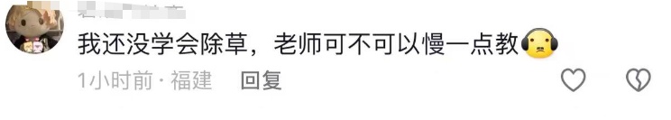 突然爆红！“95后”小伙网上教务农，网友：给我来块地……