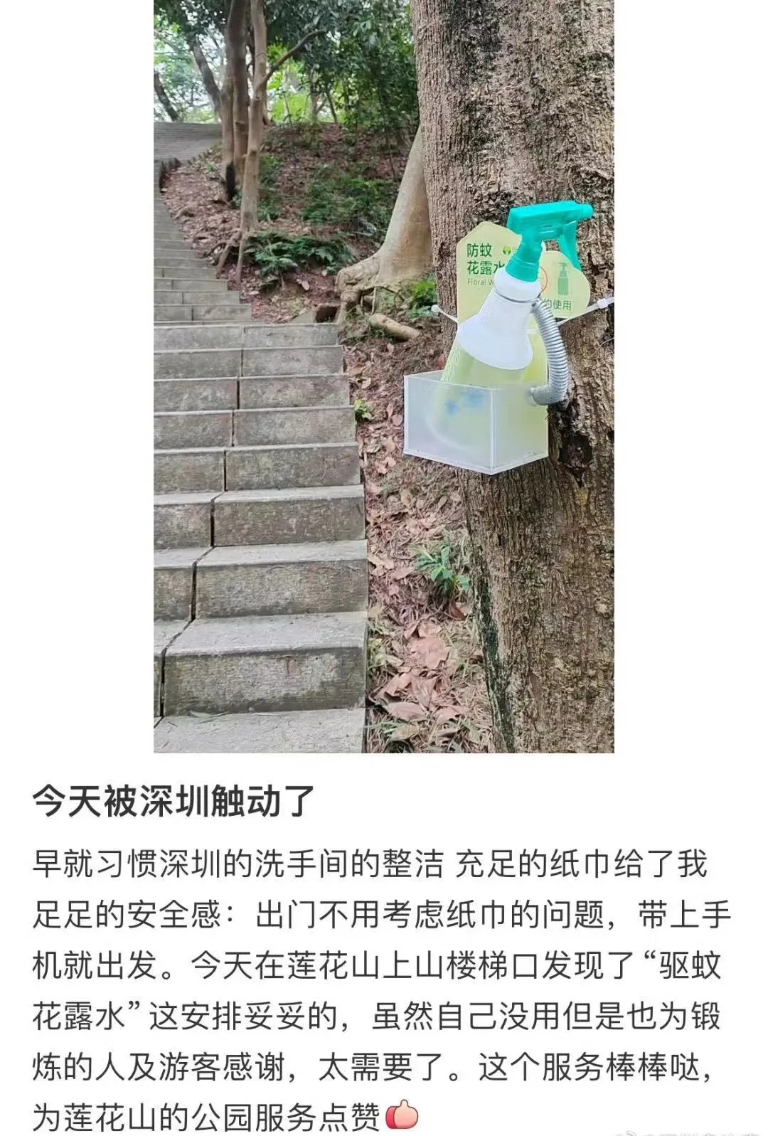 深圳公园这波操作…我服啦！你到底还有多少惊喜瞒着我！