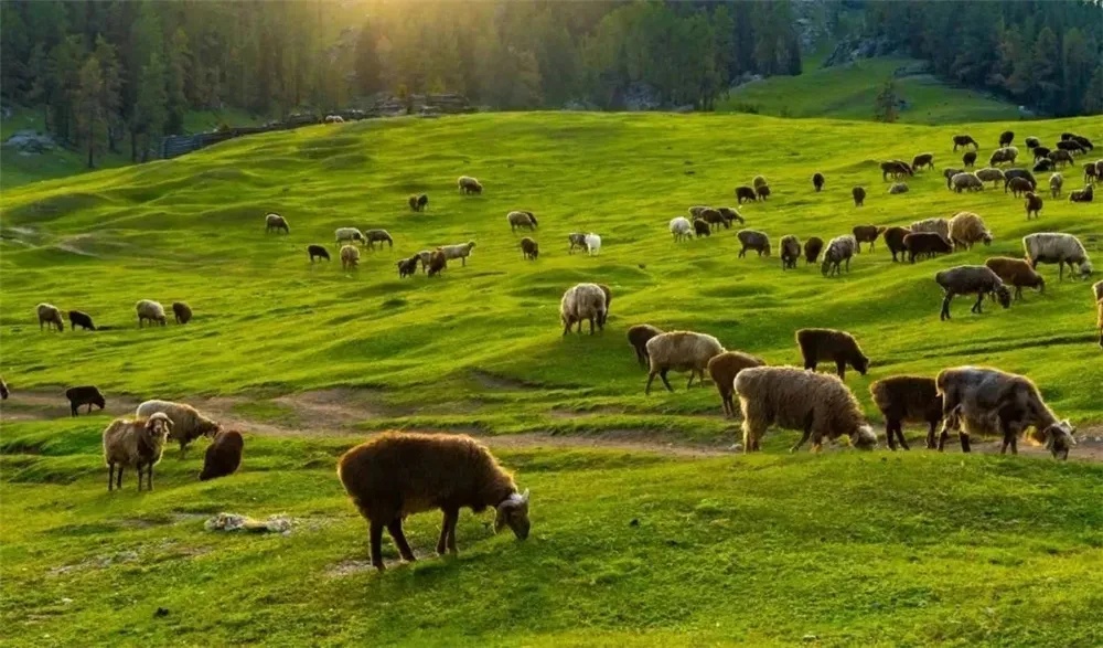 7月1日起，银川新增一条直飞航线！