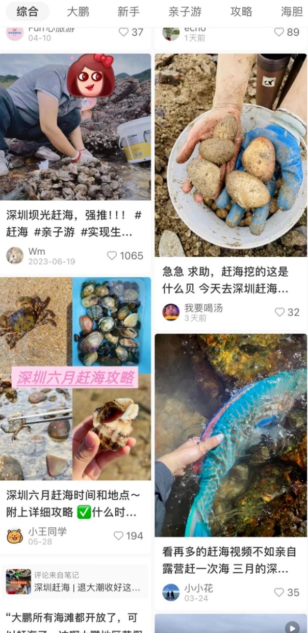 “赶海”爆火，但暗藏危险！当心这个隐形“杀手”……