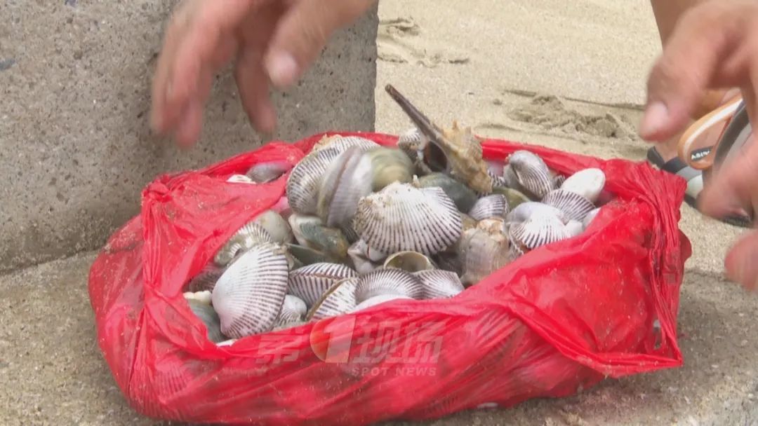“赶海”爆火，但暗藏危险！当心这个隐形“杀手”……