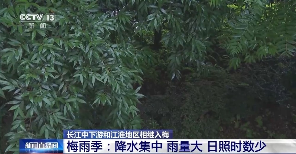 中央气象台：长江中下游强降雨频繁 防汛关键期开启