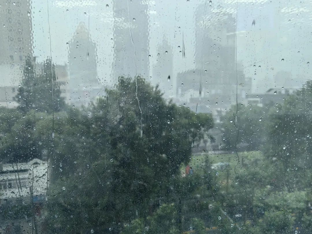暴雨预警升级为黄色！今天雨也不小，上海目前“双黄”预警高挂→