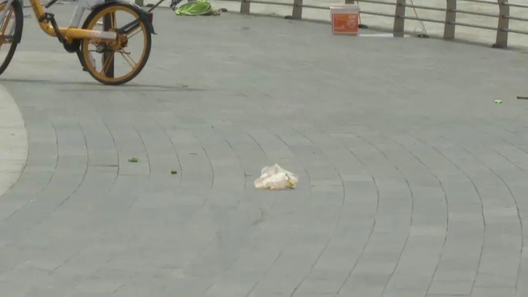 东莞一观景台遍地大小便？游客直呼恶臭难受