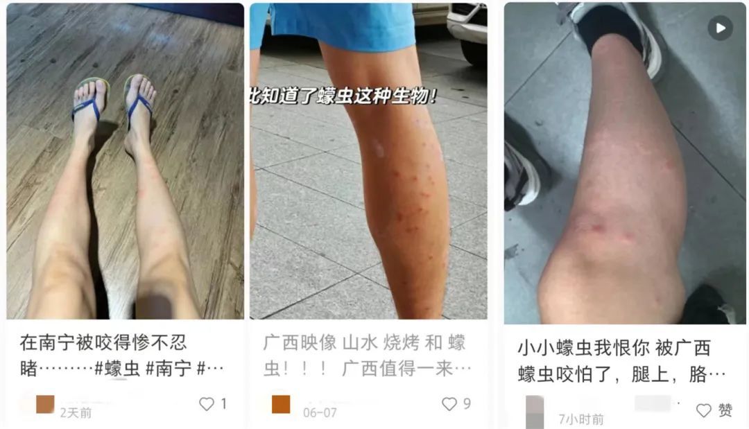 崩溃！近期猛增，不少两广人中招