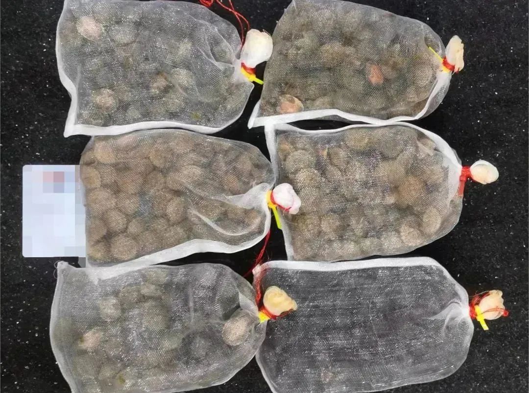 这些藏东西的手法，我是万万没想到