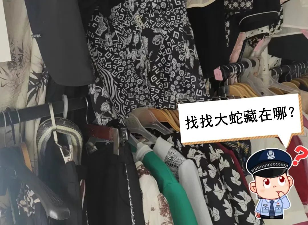 2米长！武汉一店铺惊现大蛇，紧急提醒→