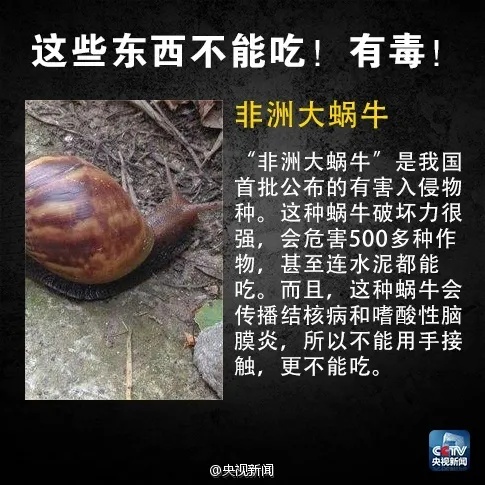 毒性比砒霜高百倍!多地发布预警:别买!别吃! 毒性比砒霜高百倍!多地发布预警:别买!别吃!