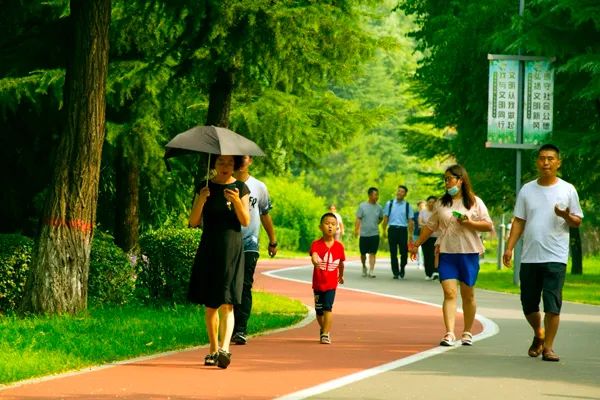 今日夏至丨共度地久天长时