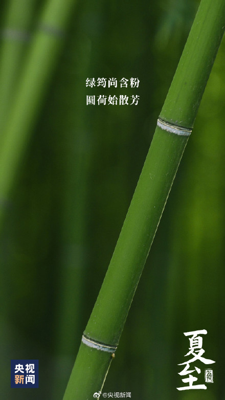 夏至吃哪种面？推荐一下你的最爱！