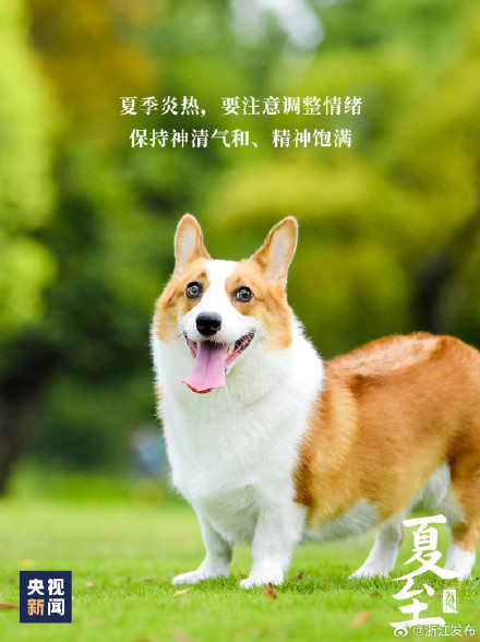 夏至已至，美好始长