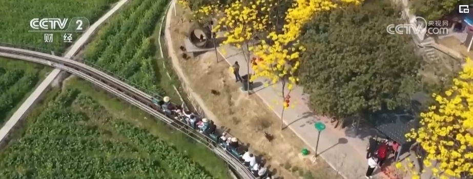 “解锁”夏日文旅惊喜 暑期游为“夏日经济”注入勃勃生机 “解锁”夏日文旅惊喜 暑期游为“夏日经济”注入勃勃生机