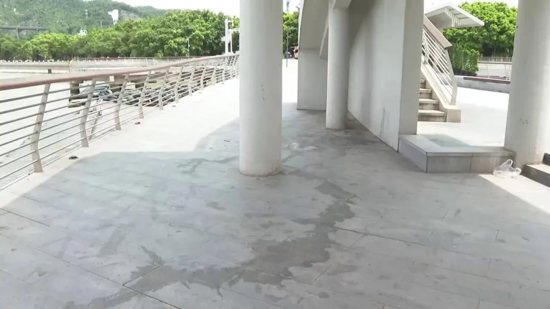 东莞一观景台遍地大小便？游客直呼恶臭难受