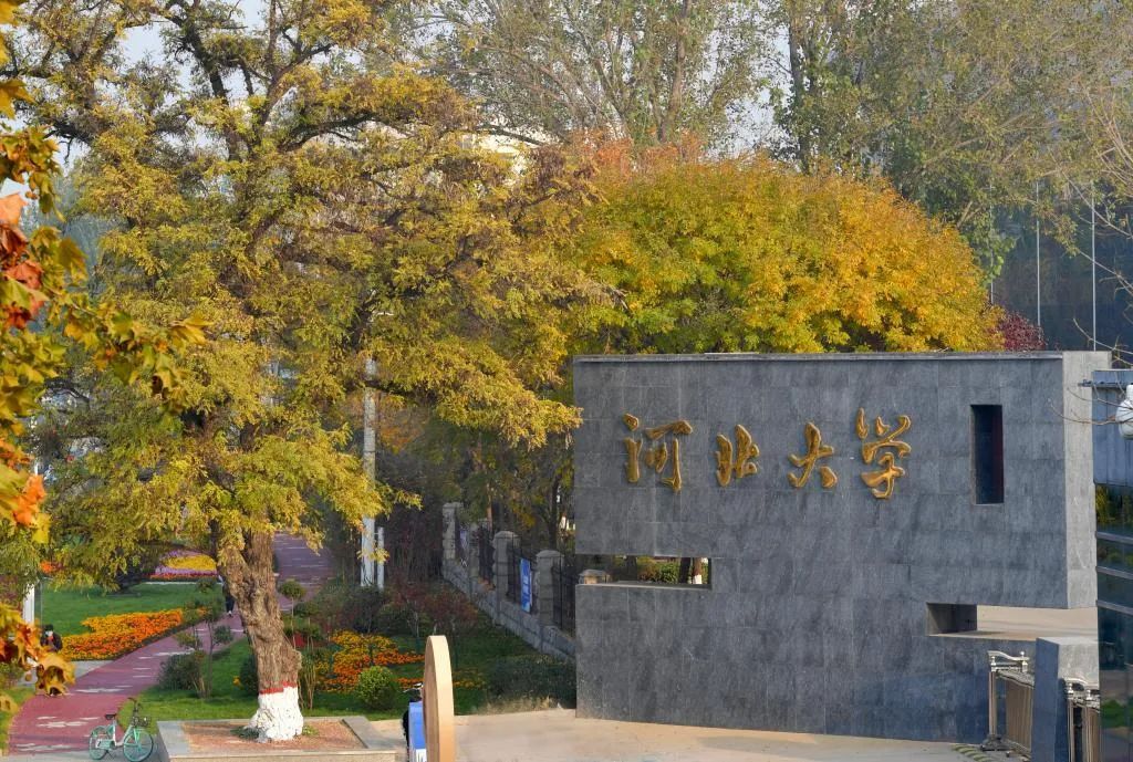 所有毕业生可终身进入图书馆！河北这所大学全网羡慕