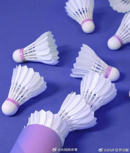 巴黎奥运会羽毛球颜色上新