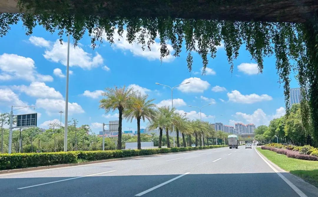 3号台风或将生成！直逼37℃！厦门周末持续高热……