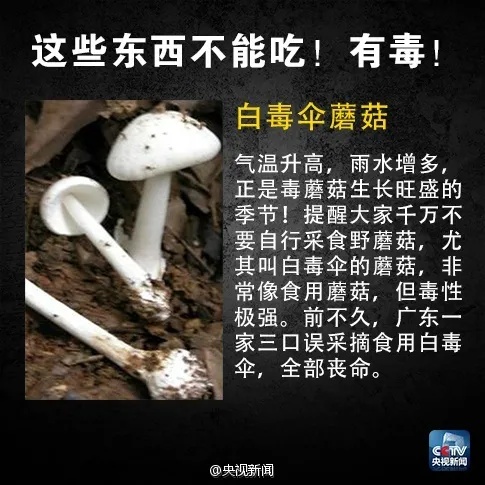 毒性比砒霜高百倍!多地发布预警:别买!别吃! 毒性比砒霜高百倍!多地发布预警:别买!别吃!