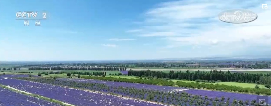 “解锁”夏日文旅惊喜 暑期游为“夏日经济”注入勃勃生机 “解锁”夏日文旅惊喜 暑期游为“夏日经济”注入勃勃生机