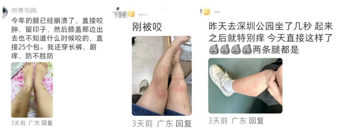 崩溃！近期猛增，不少两广人中招