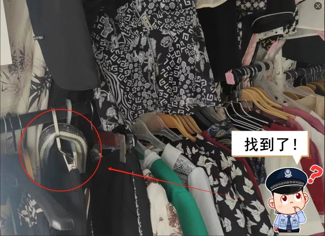 2米长！武汉一店铺惊现大蛇，紧急提醒→