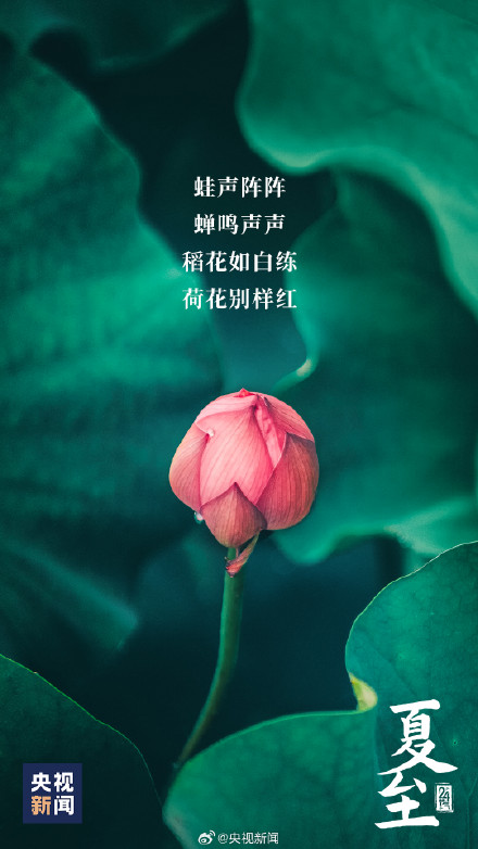 夏至吃哪种面？推荐一下你的最爱！