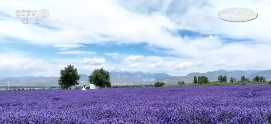 “解锁”夏日文旅惊喜 暑期游为“夏日经济”注入勃勃生机 “解锁”夏日文旅惊喜 暑期游为“夏日经济”注入勃勃生机