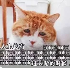 台风“格美”或将生成?泉州最高气温直冲37℃ 台风“格美”或将生成?泉州最高气温直冲37℃