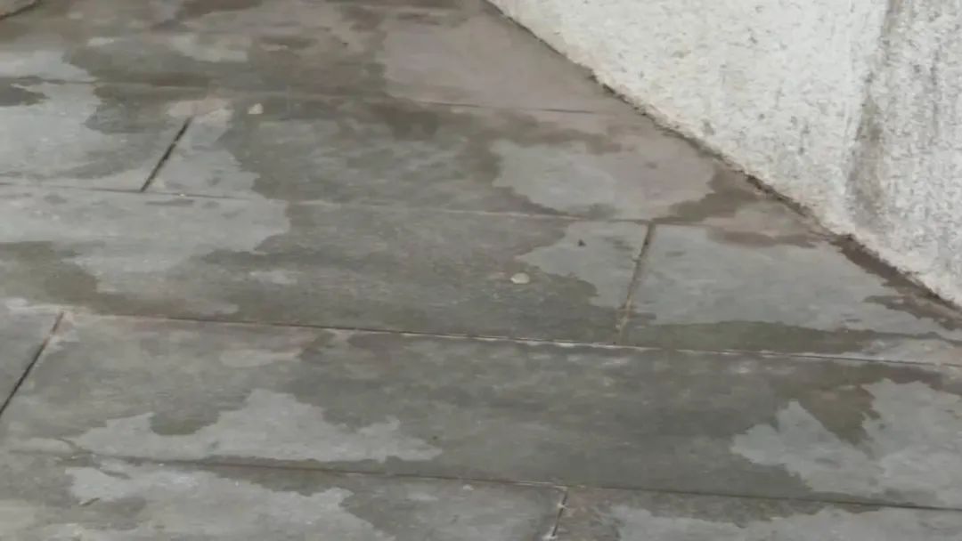 东莞一观景台遍地大小便？游客直呼恶臭难受