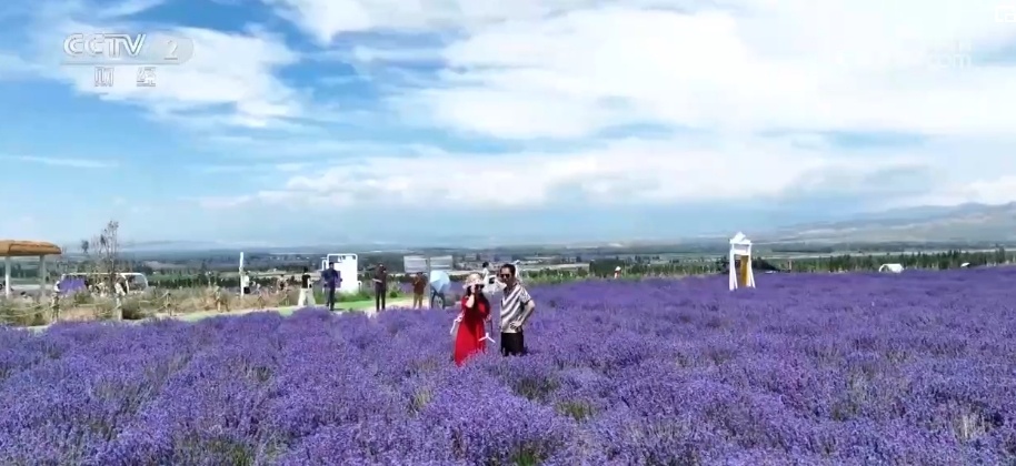 “解锁”夏日文旅惊喜 暑期游为“夏日经济”注入勃勃生机 “解锁”夏日文旅惊喜 暑期游为“夏日经济”注入勃勃生机