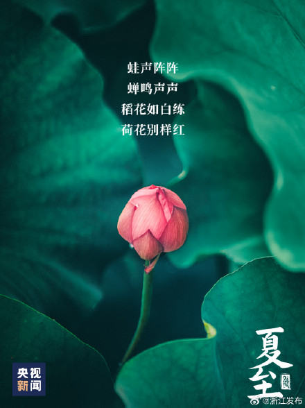 夏至已至，美好始长