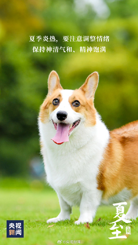 夏至吃哪种面？推荐一下你的最爱！