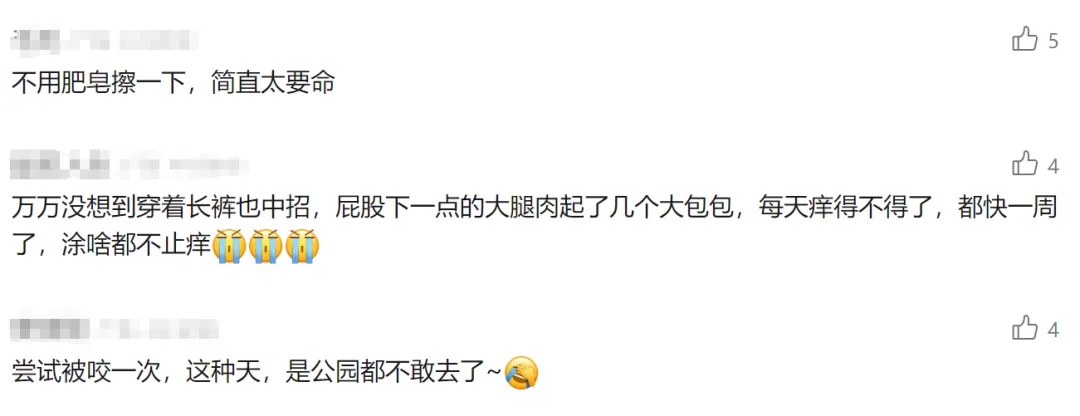 已到高发期！青岛也有人中招，不少人晒出照片：痒到崩溃……