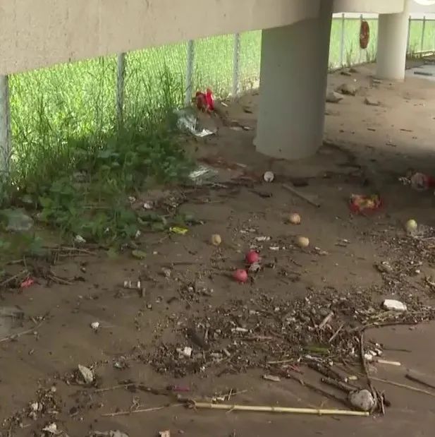 东莞一观景台遍地大小便？游客直呼恶臭难受