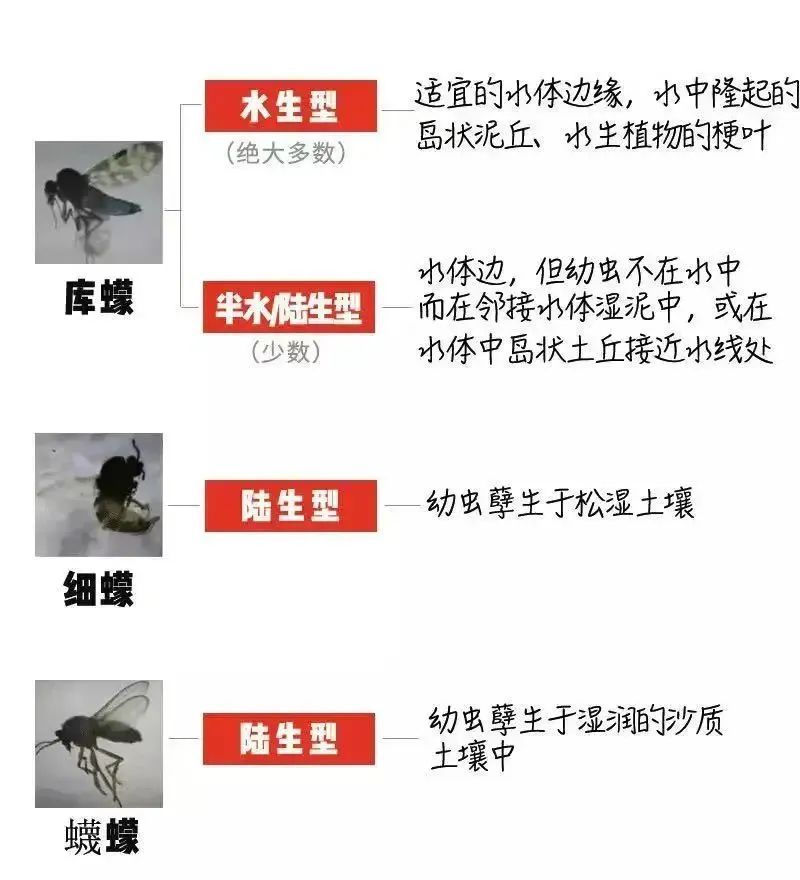 很多人晒图！第一批中招的人已出现，当时不易察觉