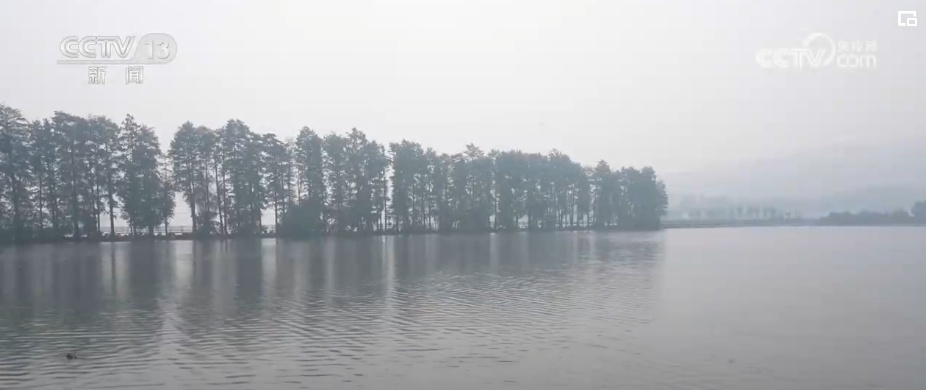“入梅”标准是什么？梅雨季特点是什么？160秒科普→