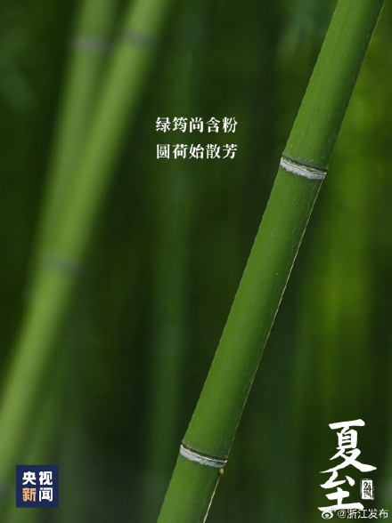 夏至已至，美好始长