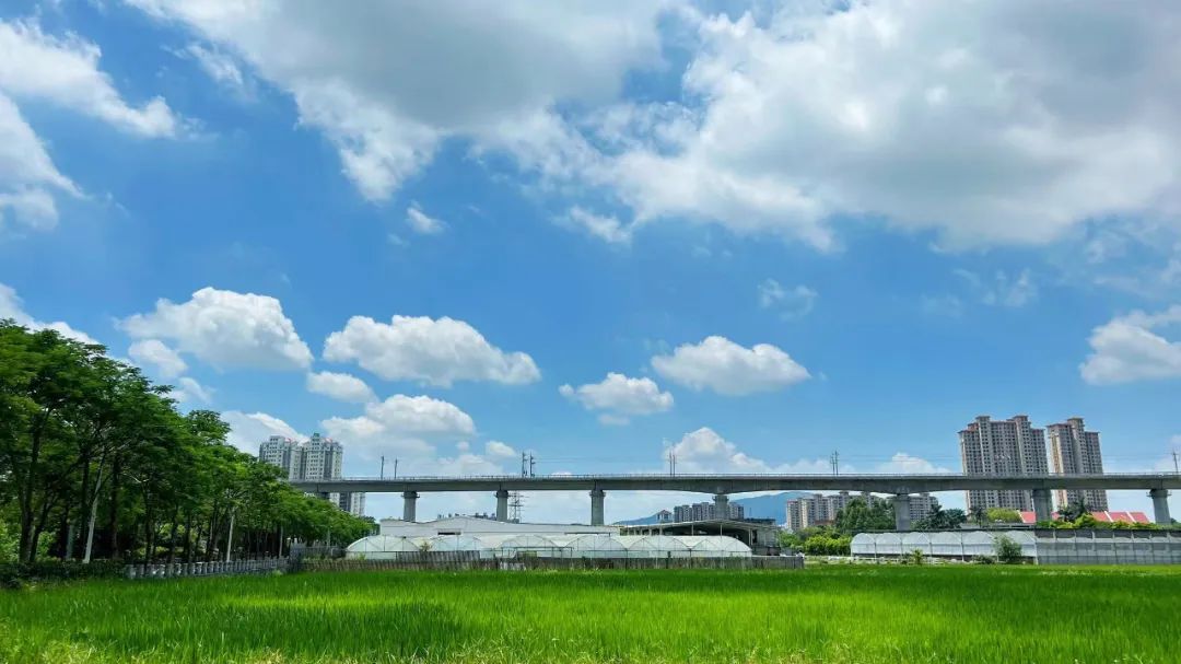 3号台风或将生成！直逼37℃！厦门周末持续高热……