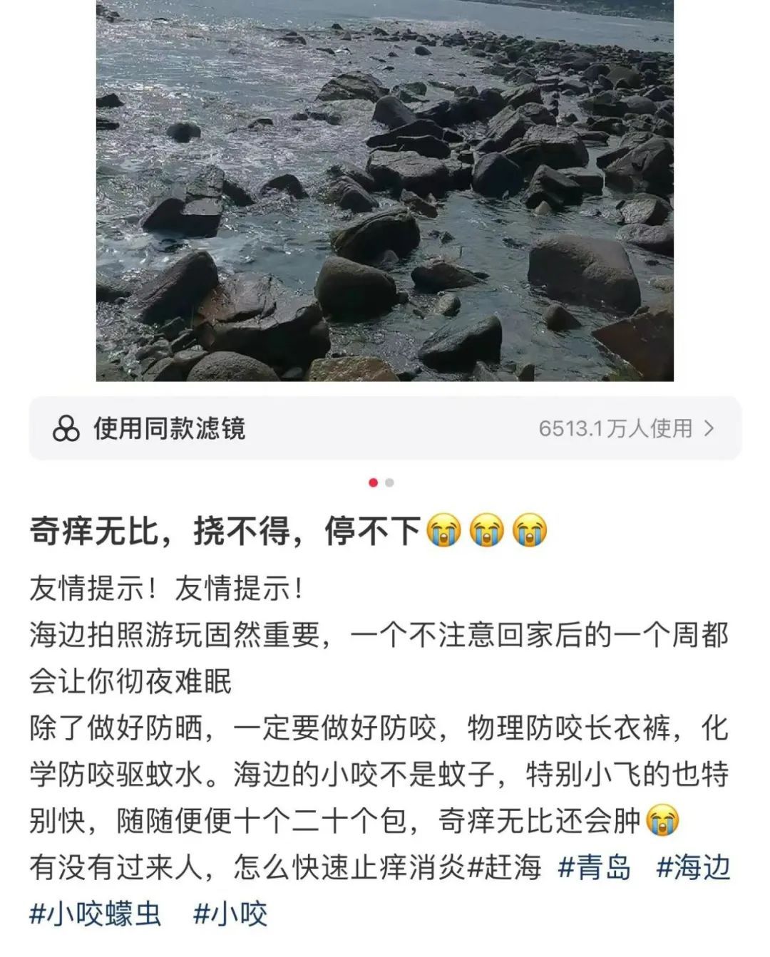 已到高发期！青岛也有人中招，不少人晒出照片：痒到崩溃……