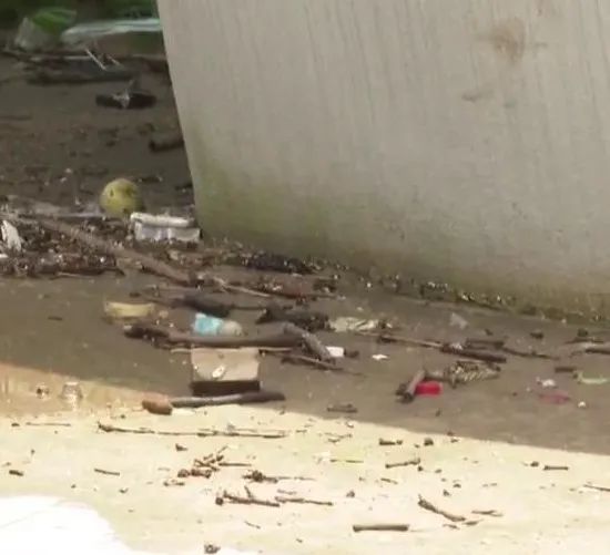 东莞一观景台遍地大小便？游客直呼恶臭难受