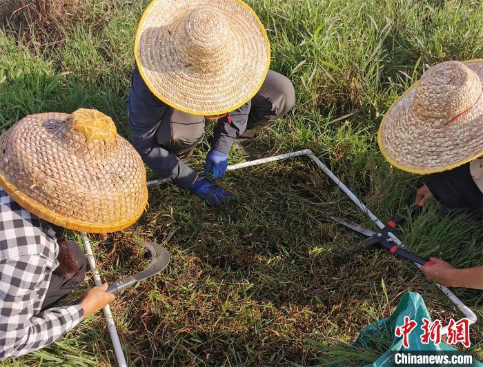 广东完成2024年森林草原湿地荒漠化普查样地调查