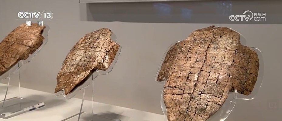 文化中国行 | 接通古今对话 数字“拼”甲骨激活中华文明历史基因 文化中国行 | 接通古今对话 数字“拼”甲骨激活中华文明历史基因