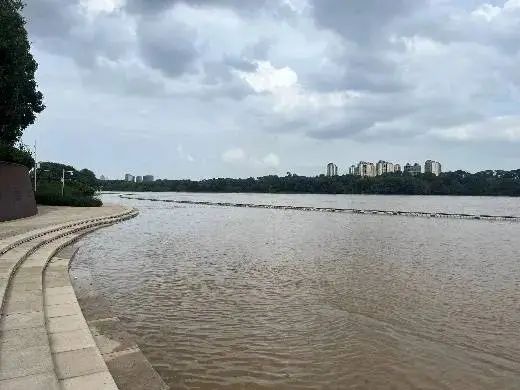 超过7米！洪峰平稳过境佛山！通航水域禁止船舶通行