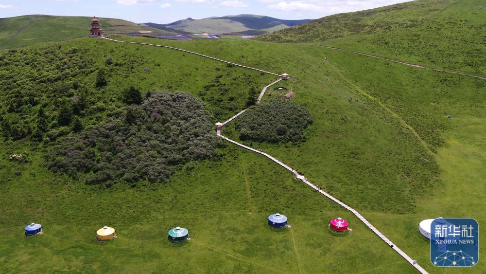 甘肃岷县狼渡草原夏日美景