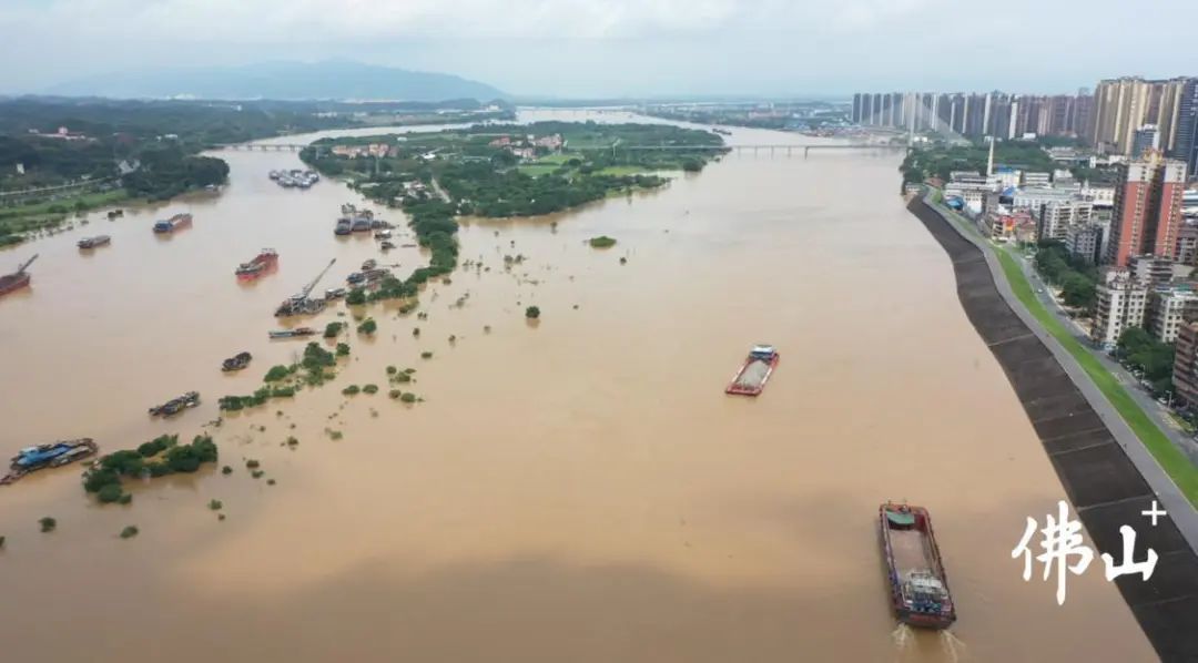 超过7米！洪峰平稳过境佛山！通航水域禁止船舶通行