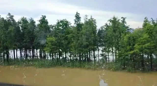 超过7米！洪峰平稳过境佛山！通航水域禁止船舶通行