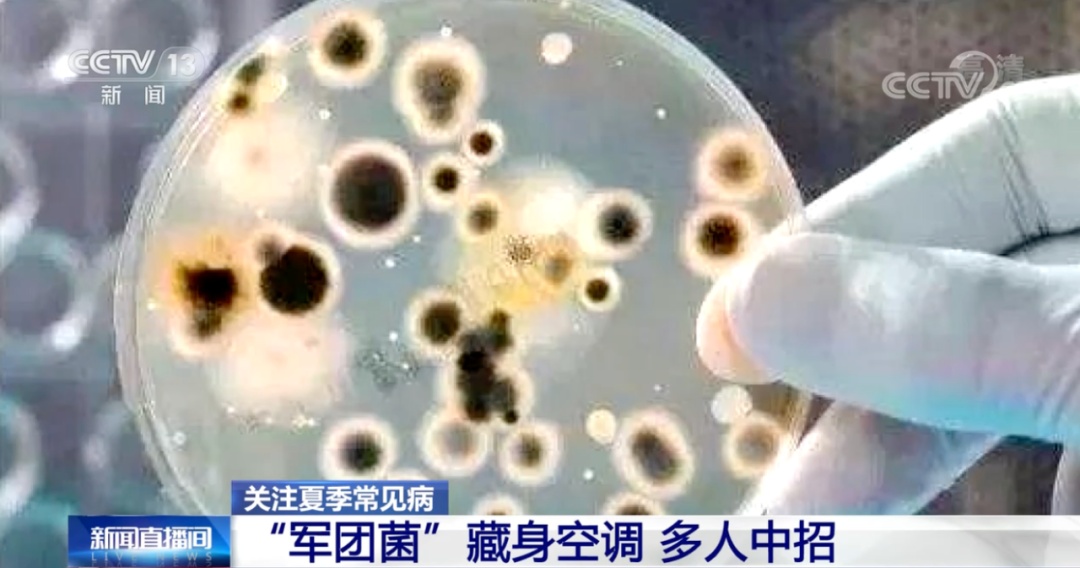 “军团菌”藏身空调,多人中招!紧急提醒→ “军团菌”藏身空调,多人中招!紧急提醒→