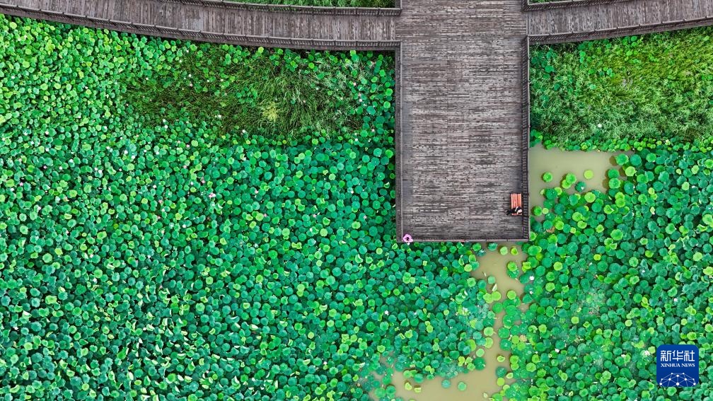 新华全媒+·高质量发展调研行|陕西富平:打造生态绿廊 探索“乐水兴城” 新华全媒+·高质量发展调研行|陕西富平:打造生态绿廊 探索“乐水兴城”